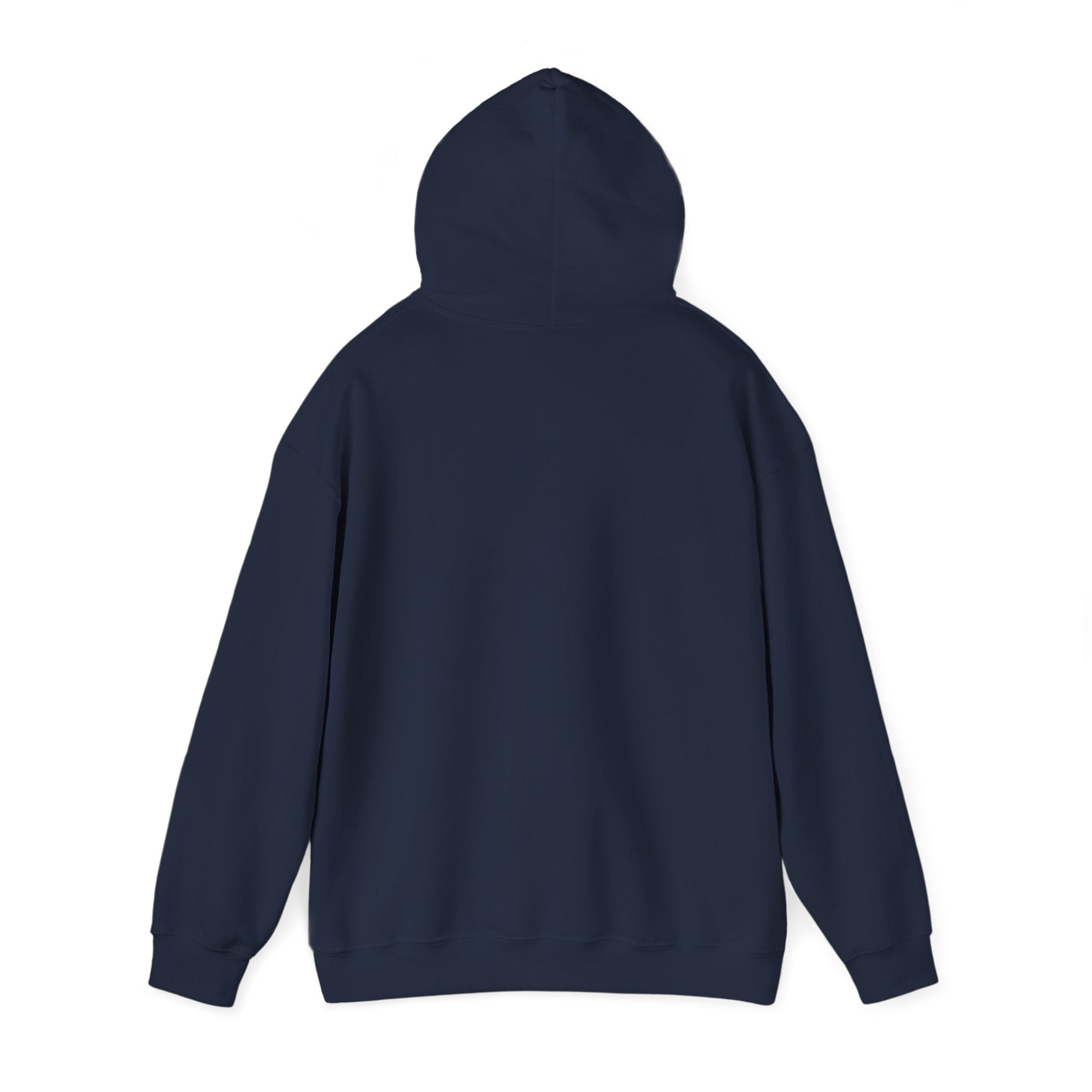 USA 250th Birthday Capsule Hoodie — Retro Red & Blue Neon Commemorative Design