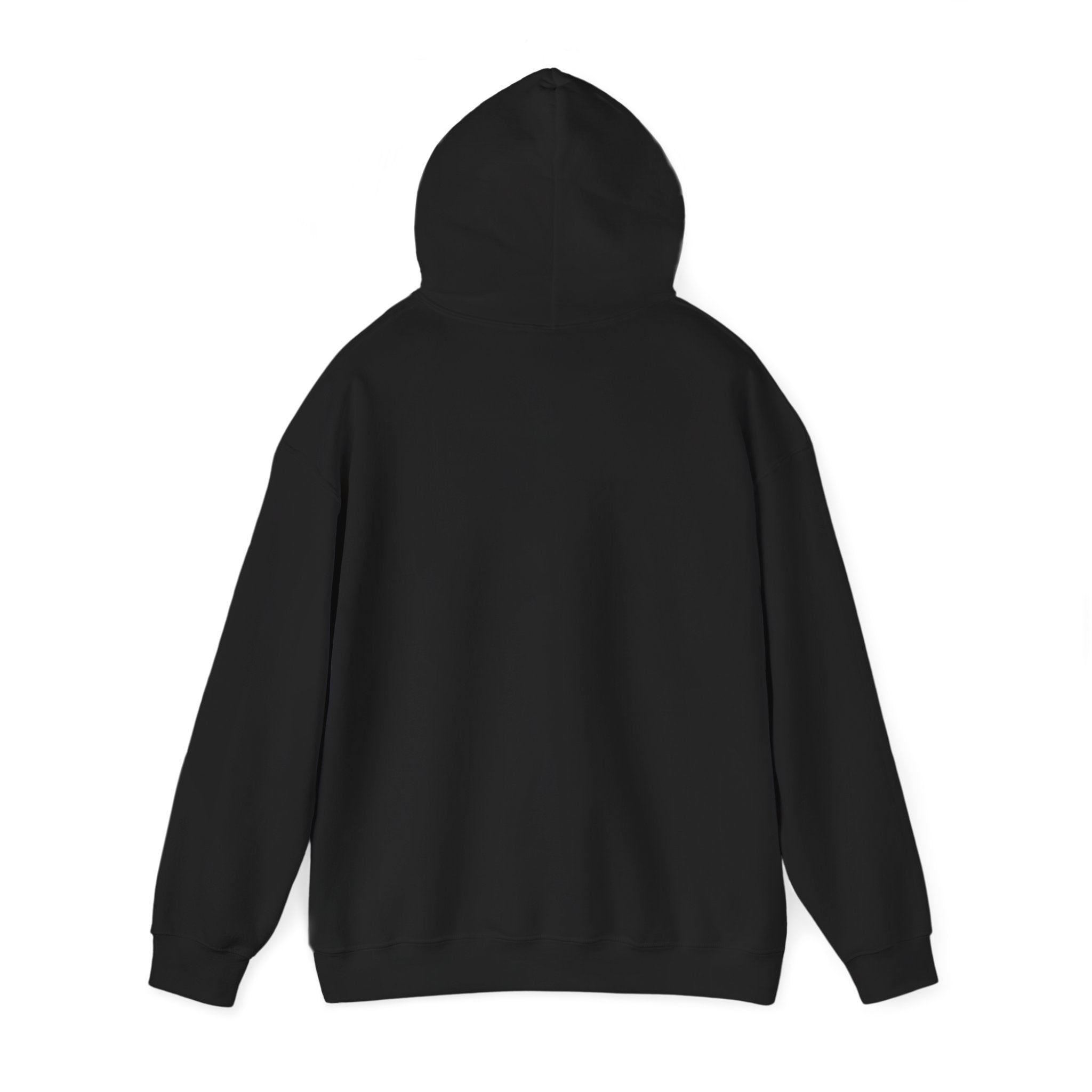 USA 250th Birthday Capsule Hoodie — Retro Red & Blue Neon Commemorative Design